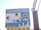 北京市丰台区康乐社会福利中心图片